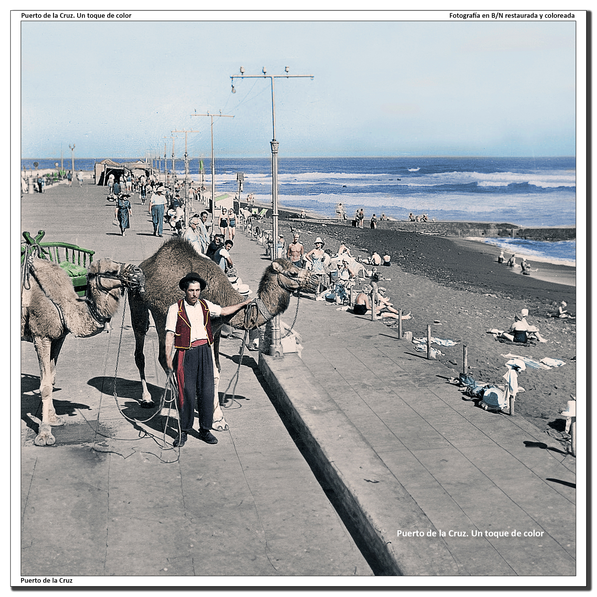 Lázaro y sus camellos en la terraza de Martiánez – 1959