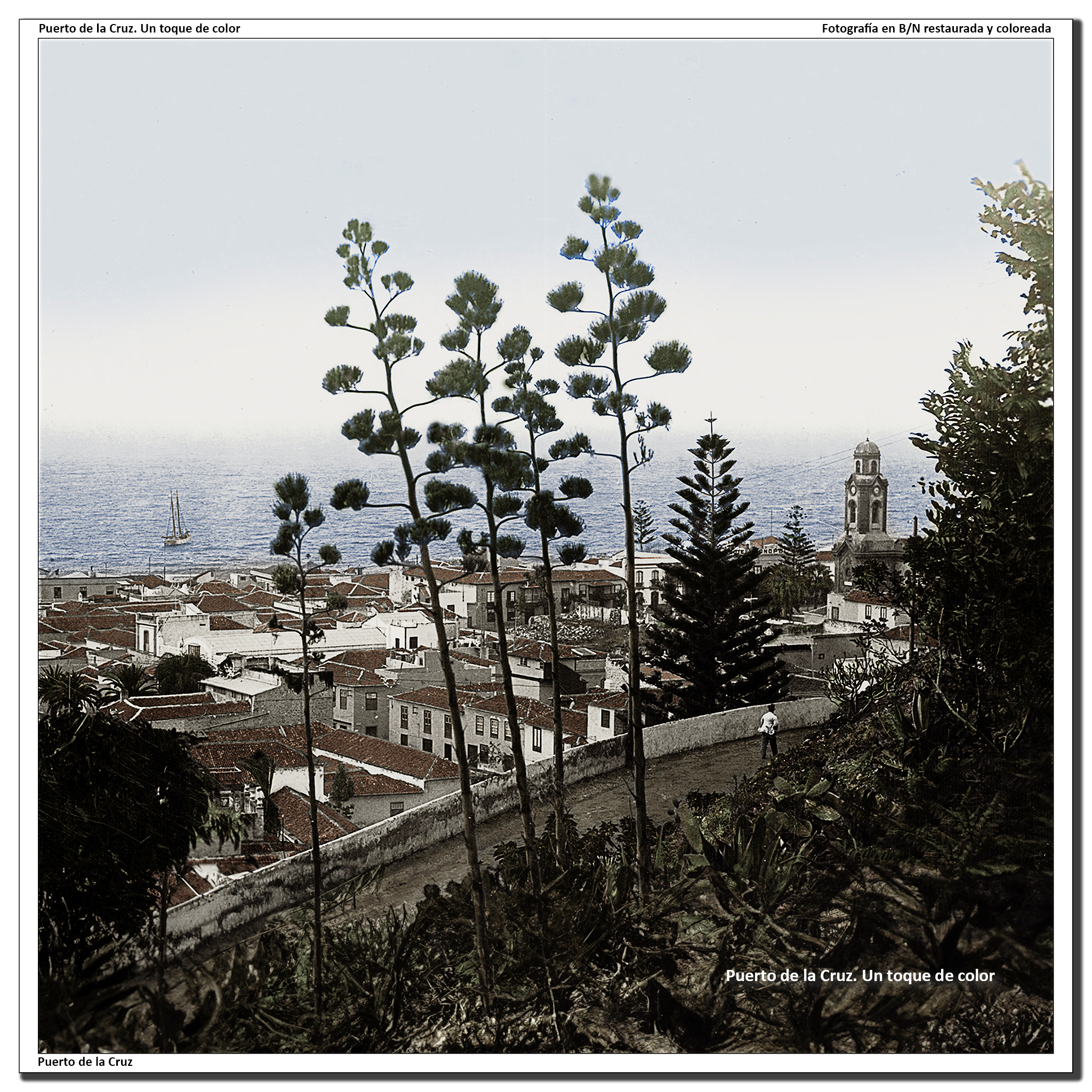 Panorámica desde el Taoro – 1930