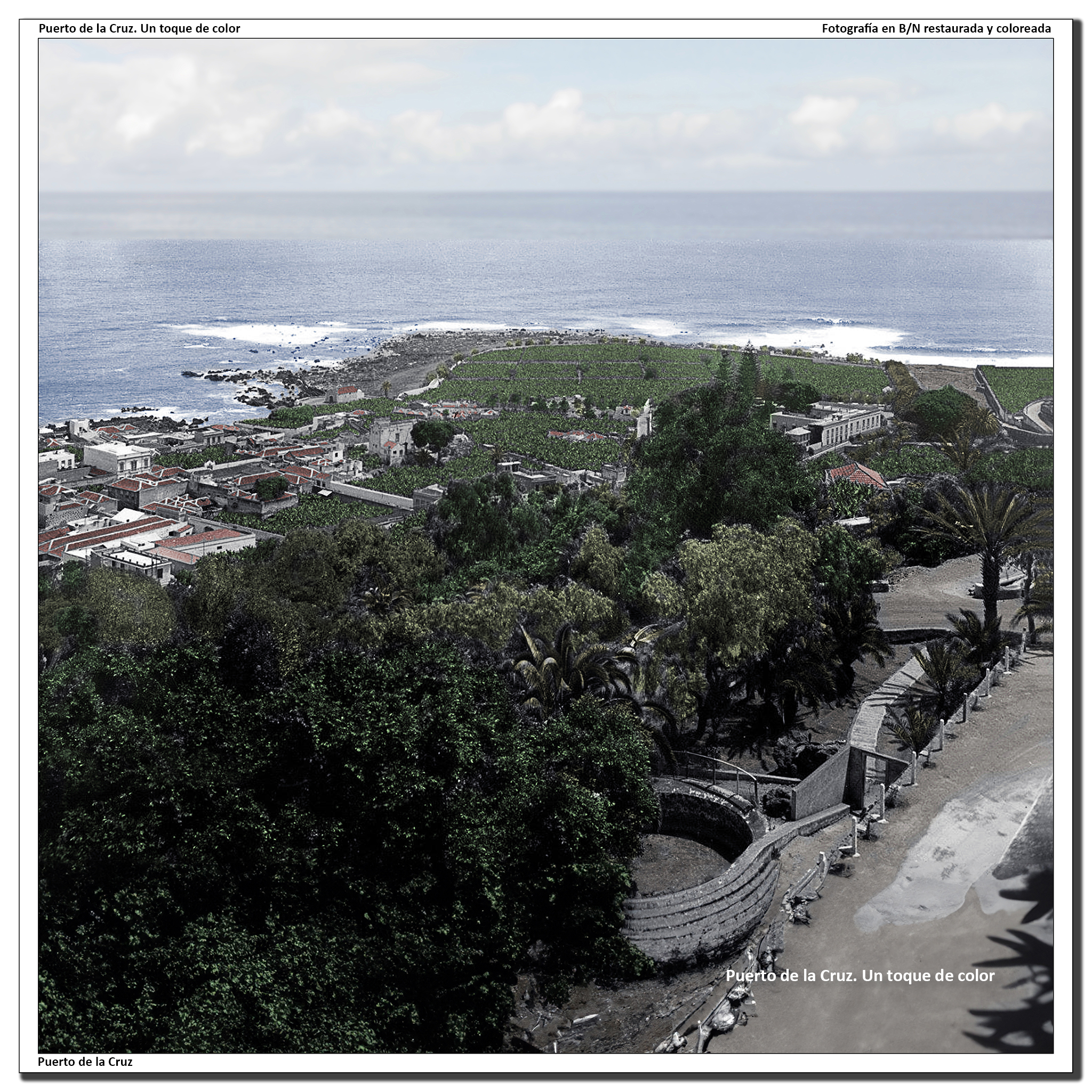 Vista parcial de los llanos de Martiánez desde el Taoro – 1930