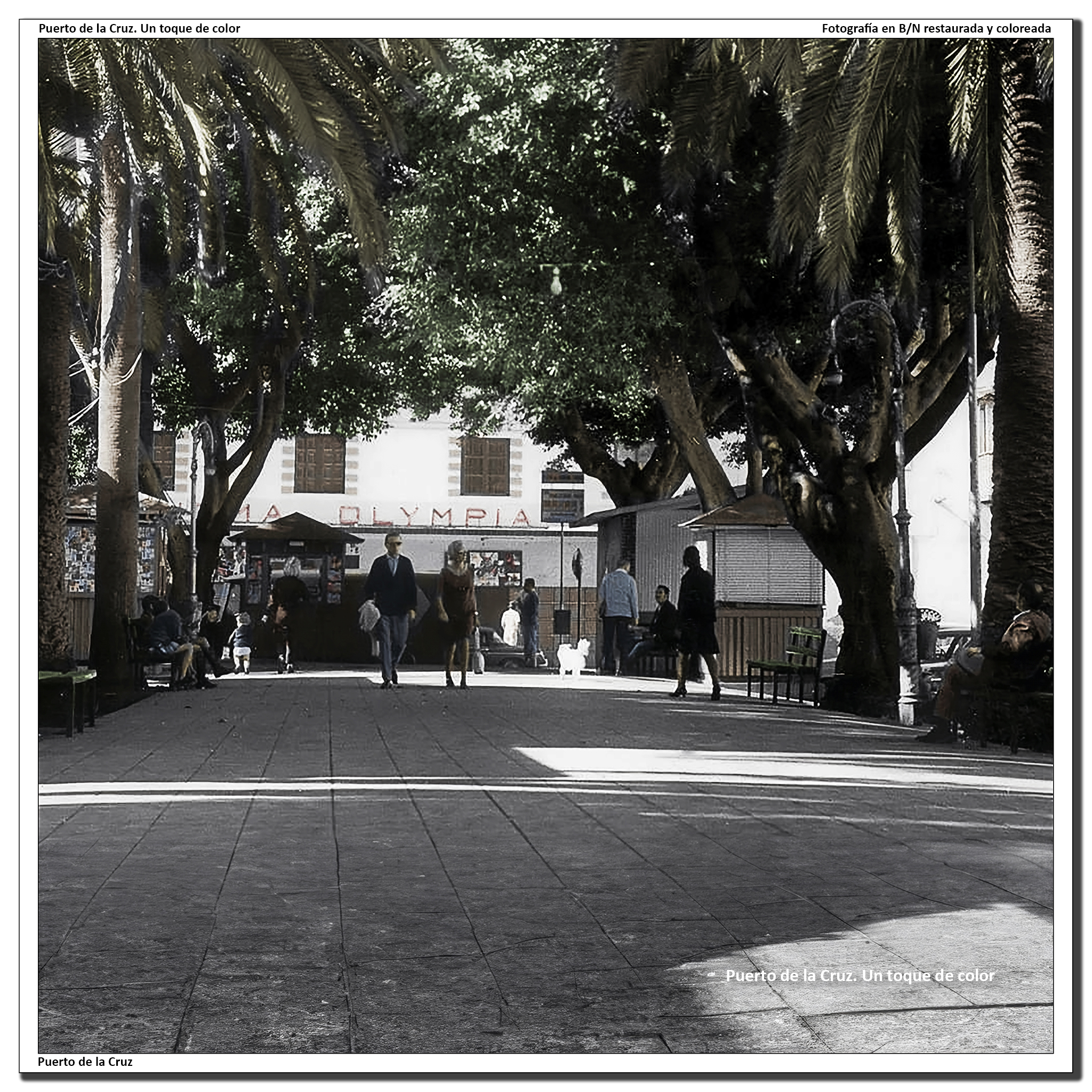 Costado norte de la Plaza del Charco – 1968