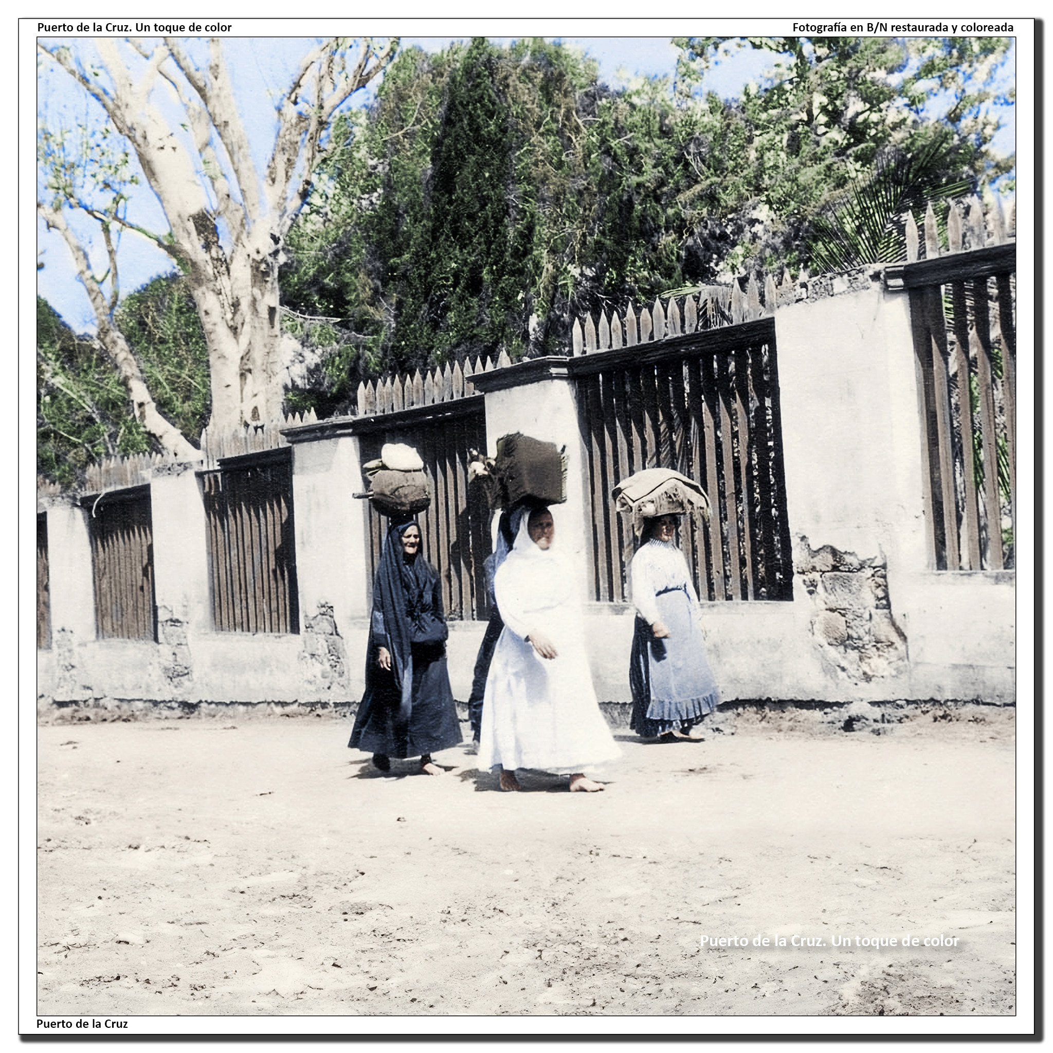 Empalizada del Jardín Botánico – 1912