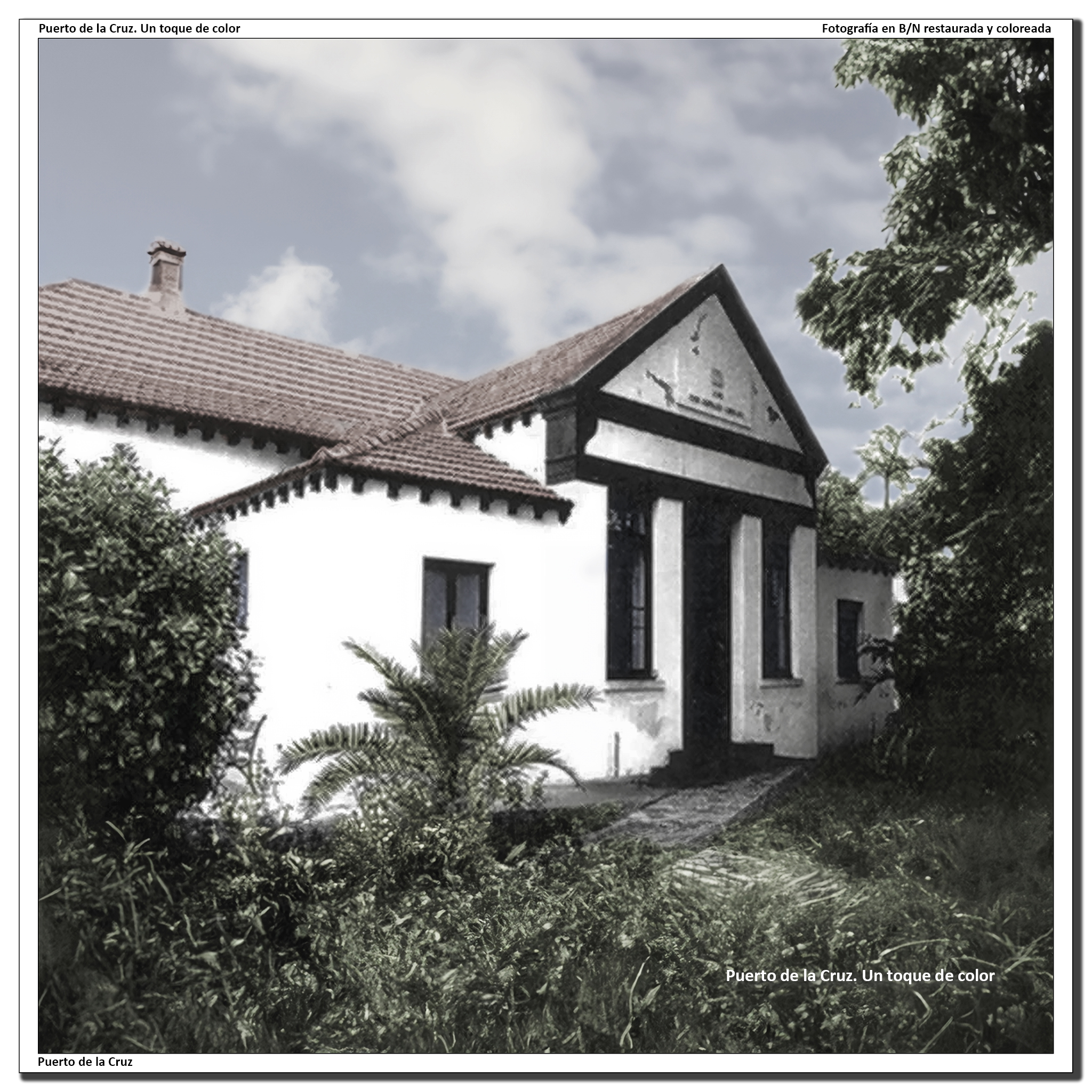 Biblioteca inglesa – 1903