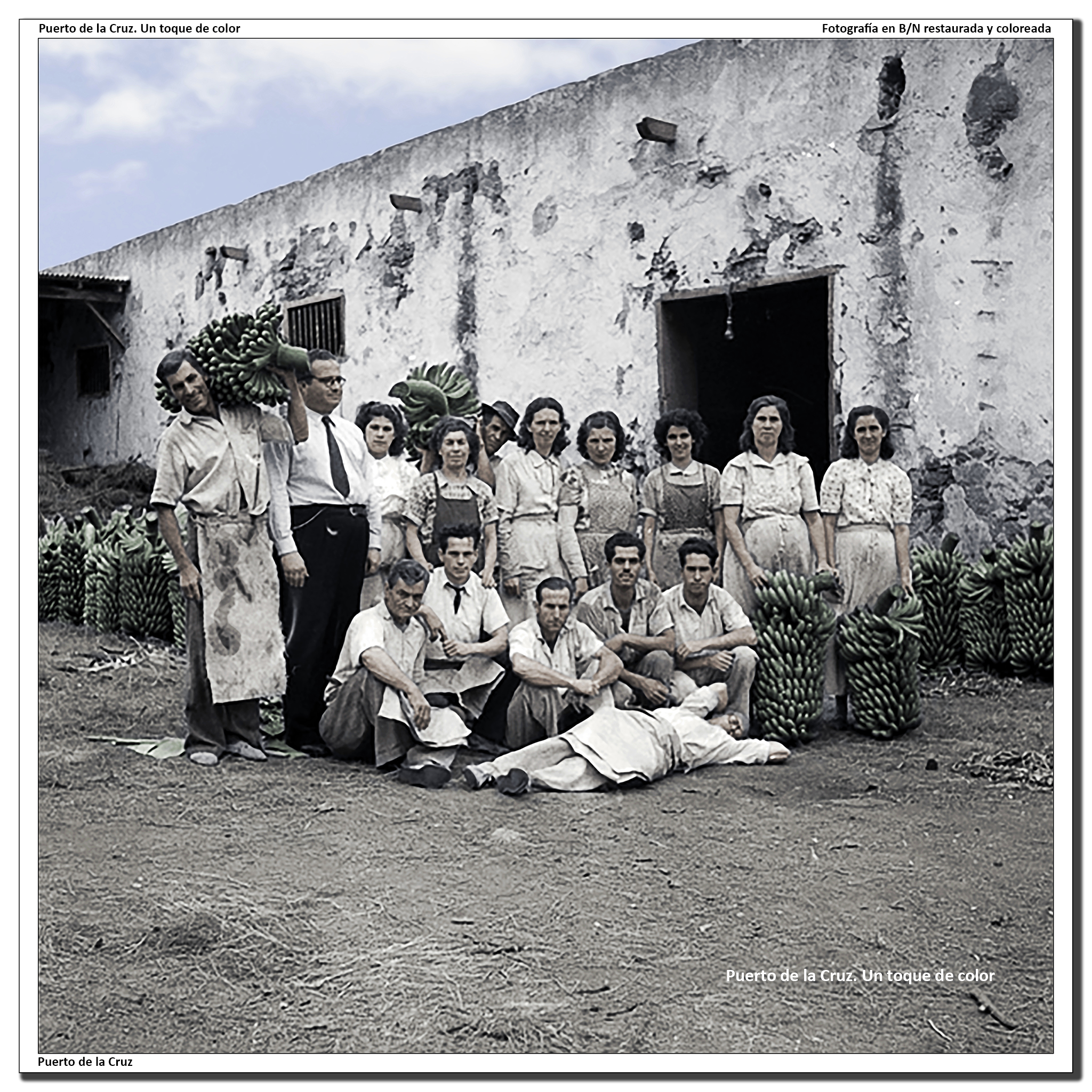 Mujeres y hombres trabajadores del plátano – 1950
