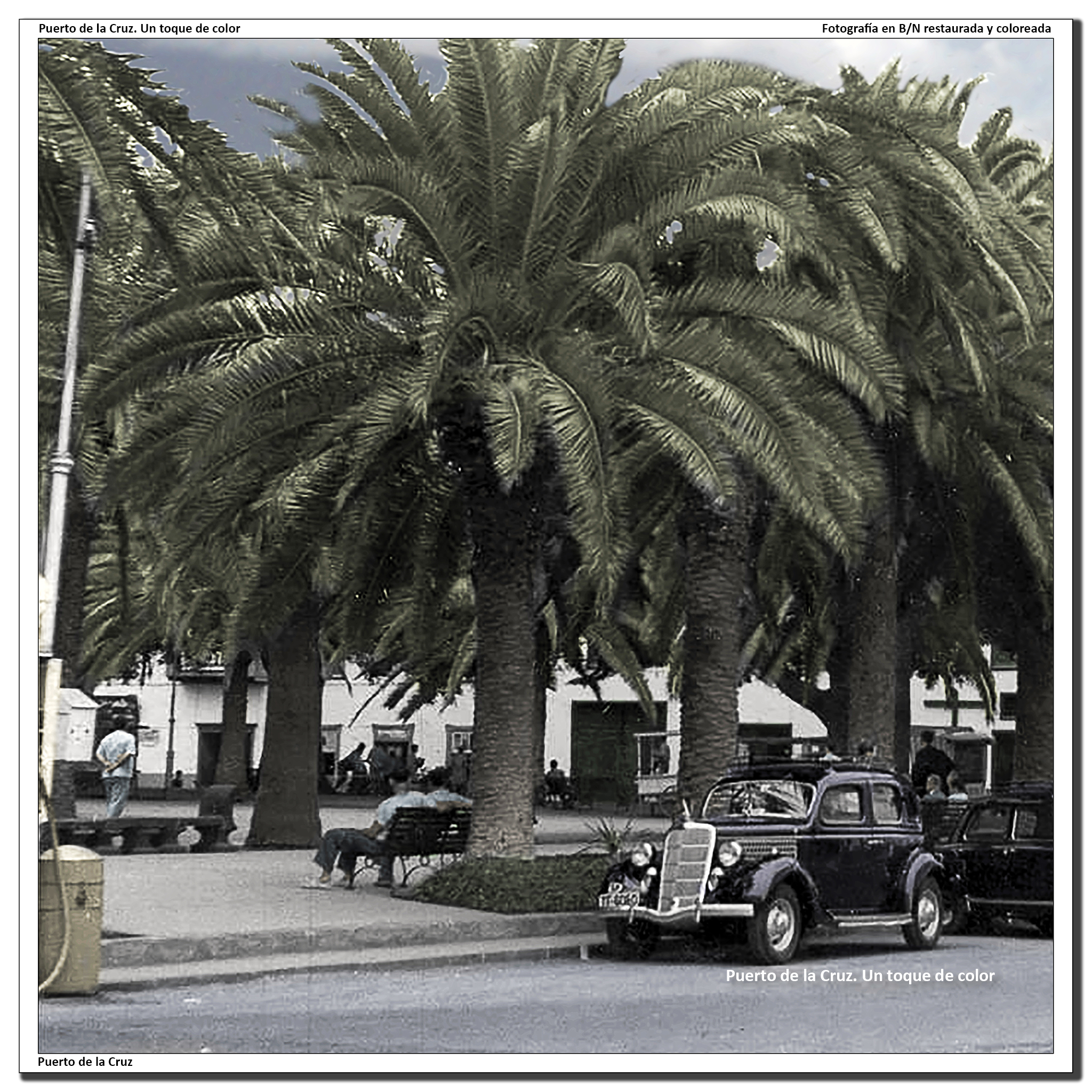 Plaza del Charco – 1950