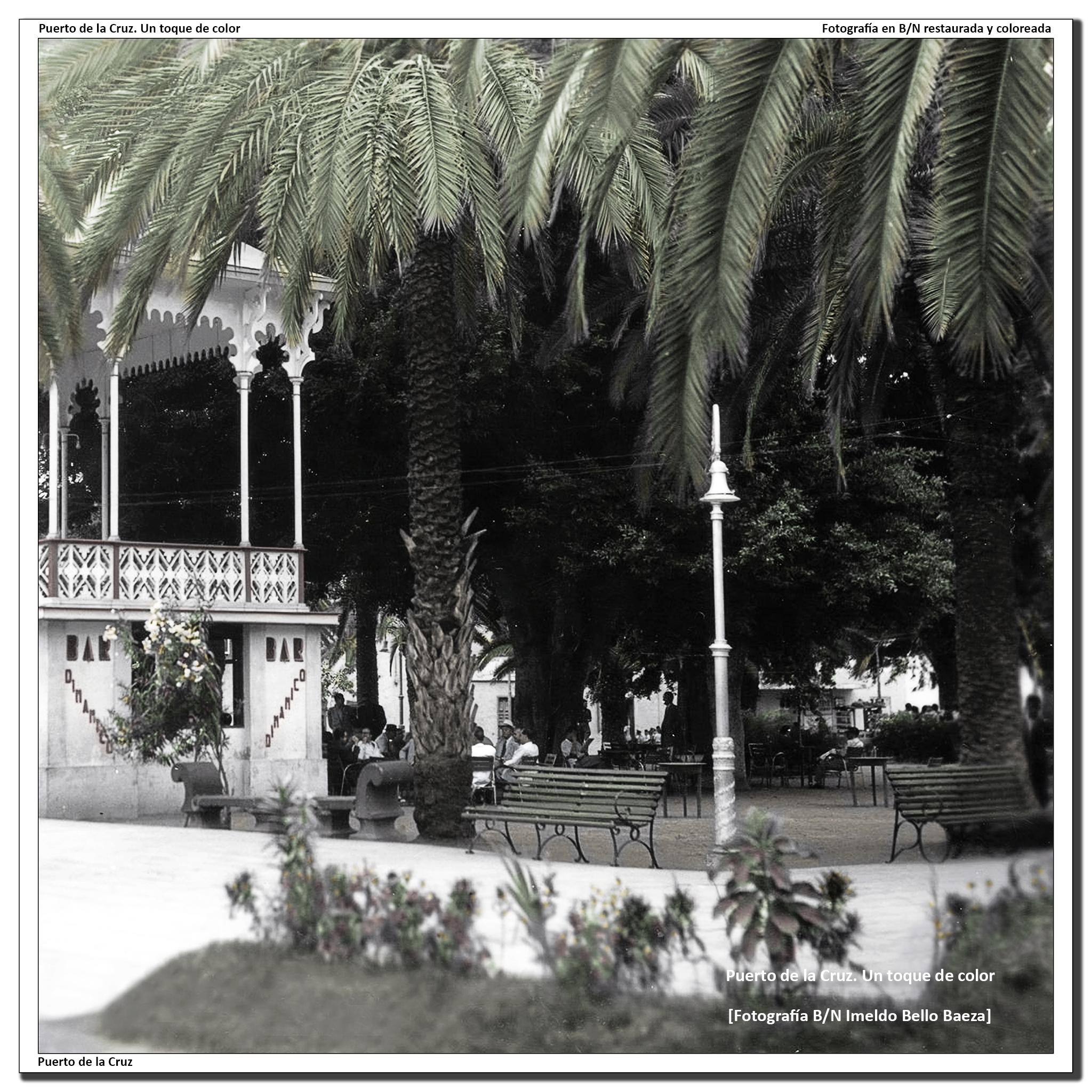 Plaza del charco y Kiosco de la música – 1950