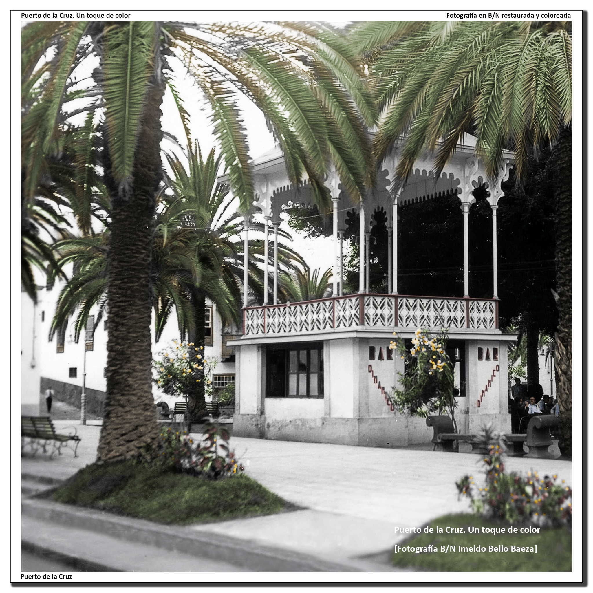 Plaza del charco y Kiosco de la música – 1950