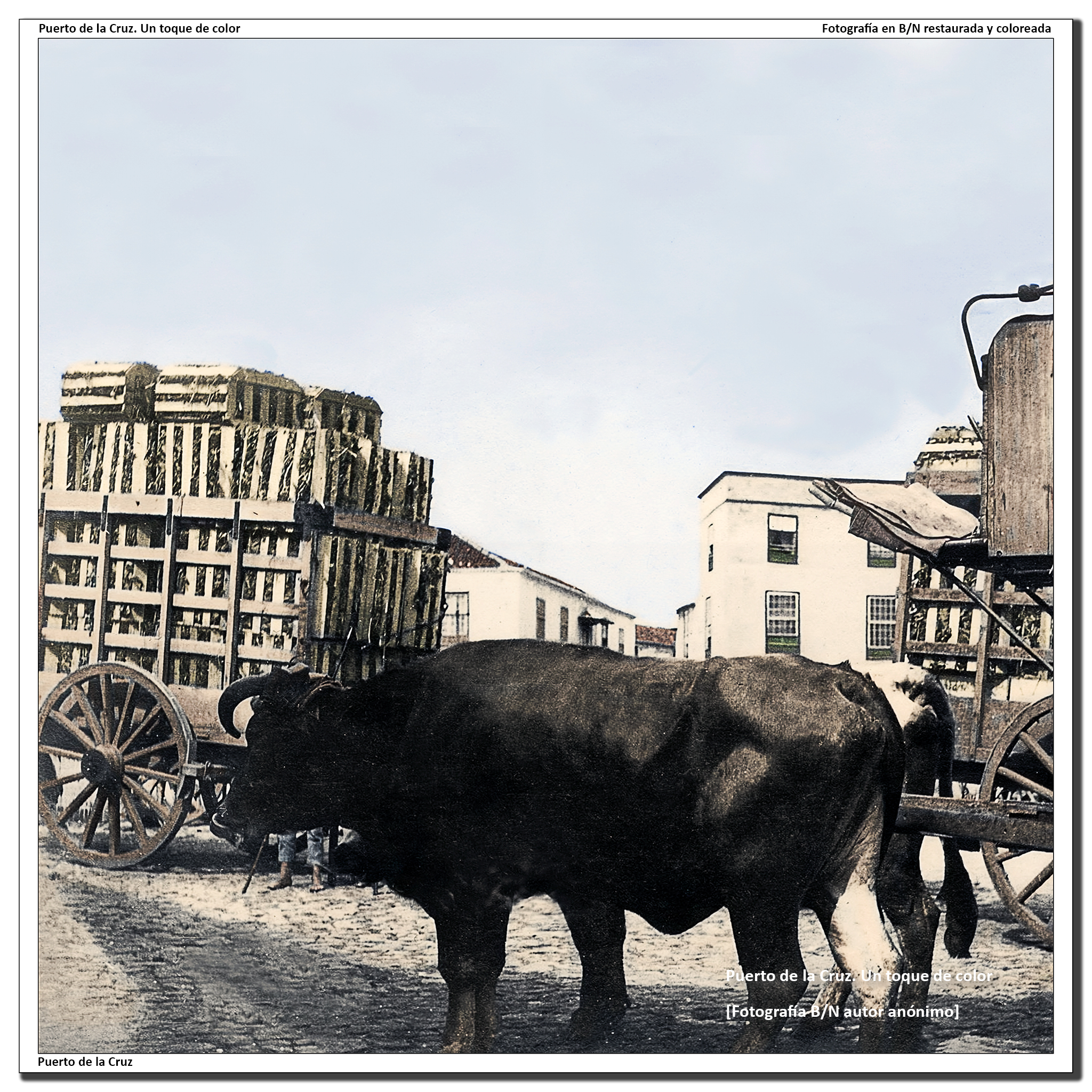 Carretas cargadas de huacales – 1914