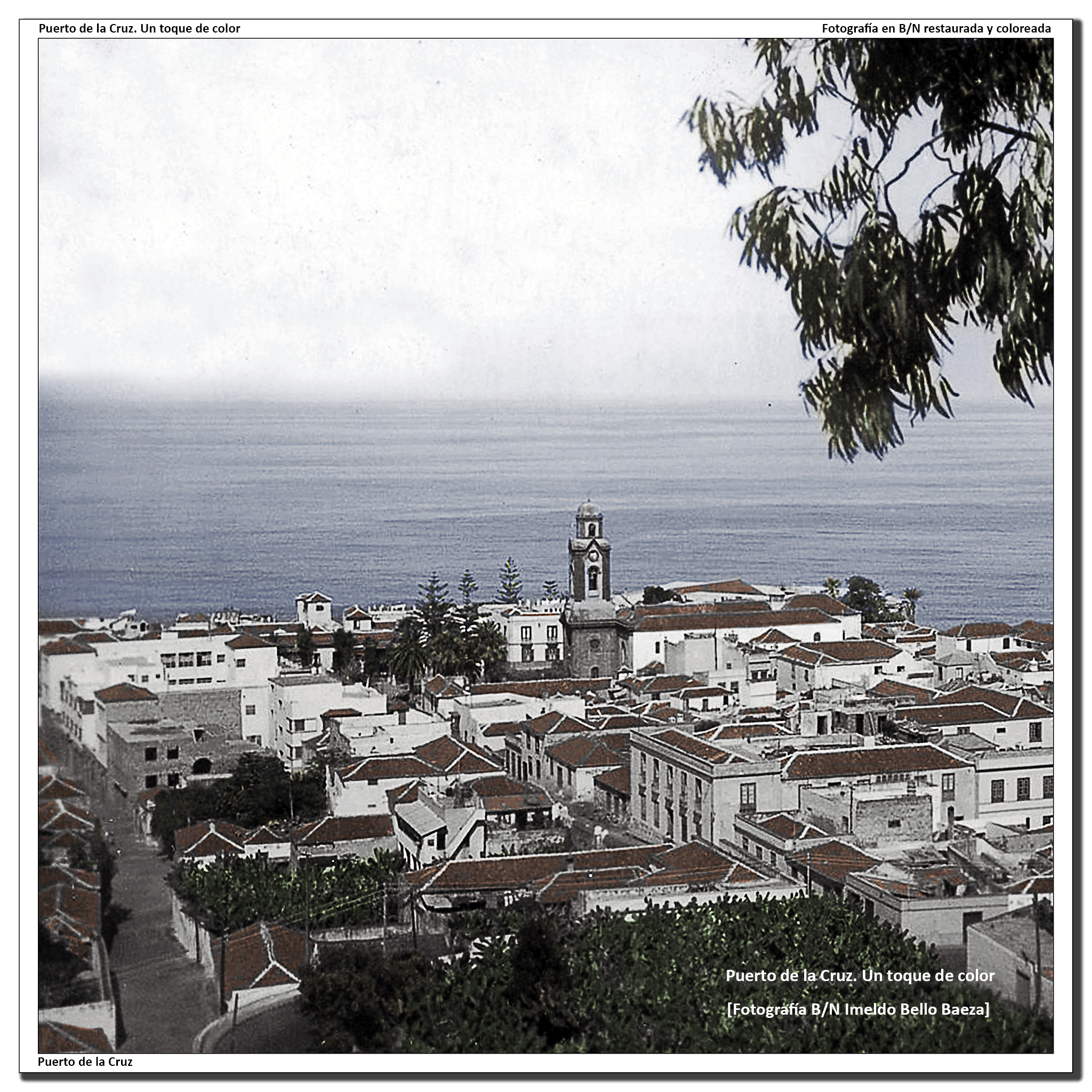 Panorámica desde el Taoro – 1950