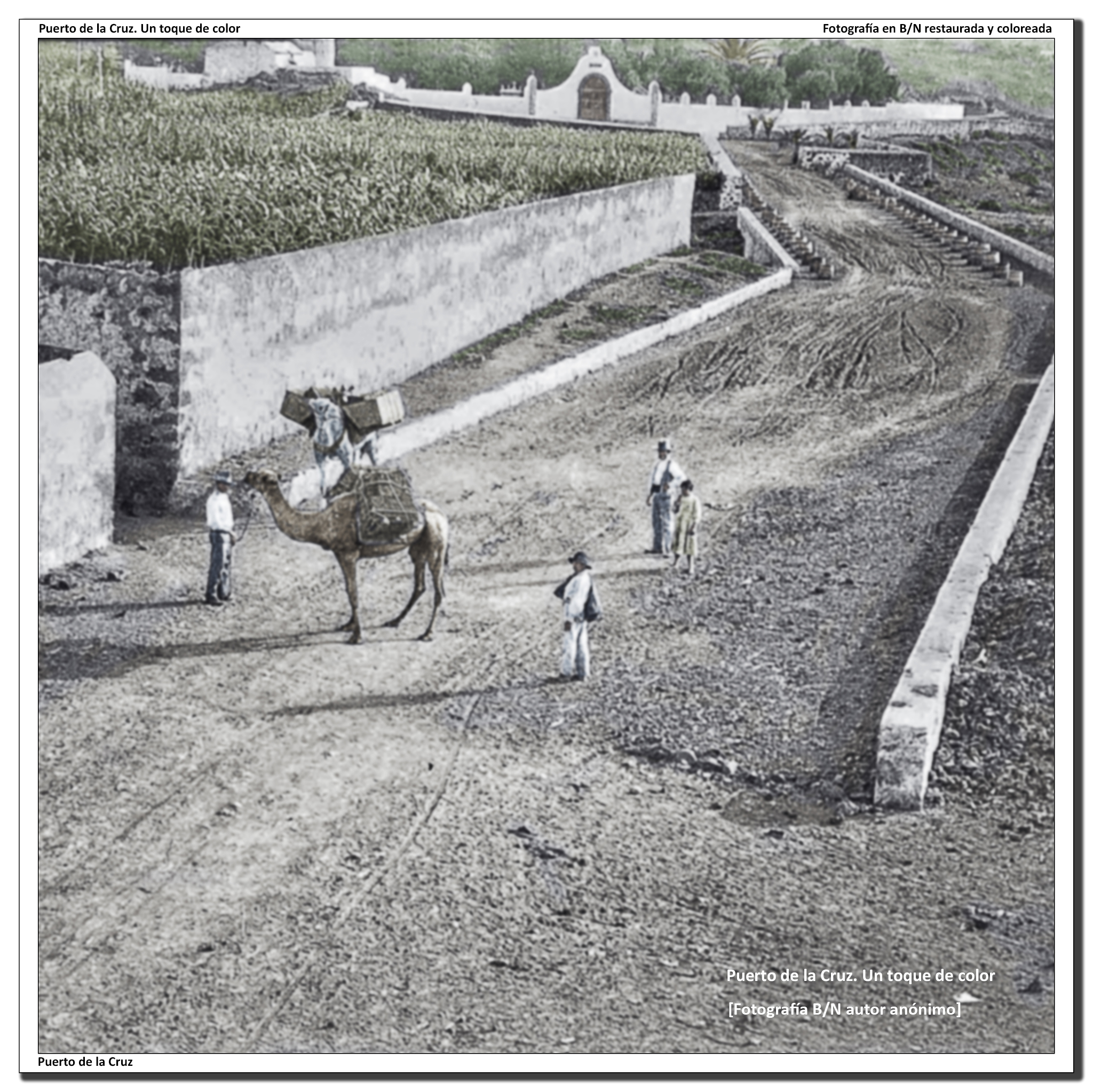 Paseo Luis Lavaggi desde el Peñón del fraile – 1907