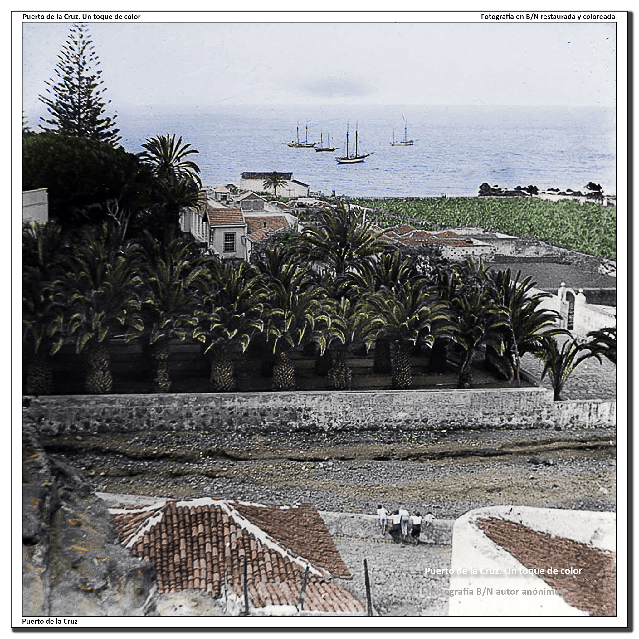Cauce del barranco y jardines del hotel Martiánez – 1919