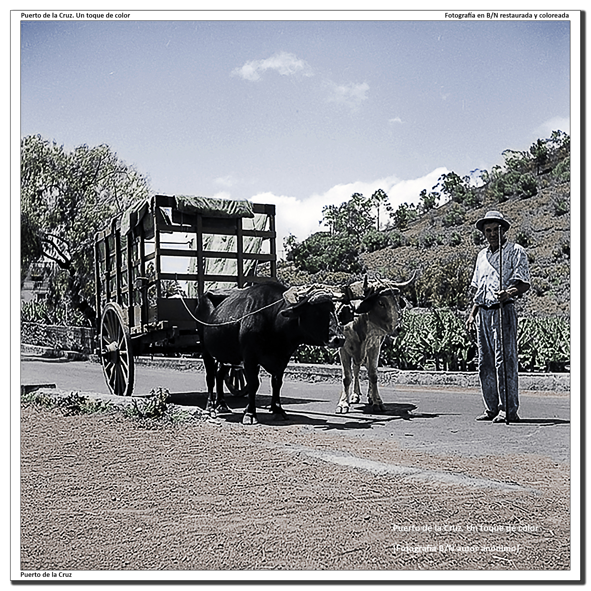 Nuestro pasado agrícola – 1950