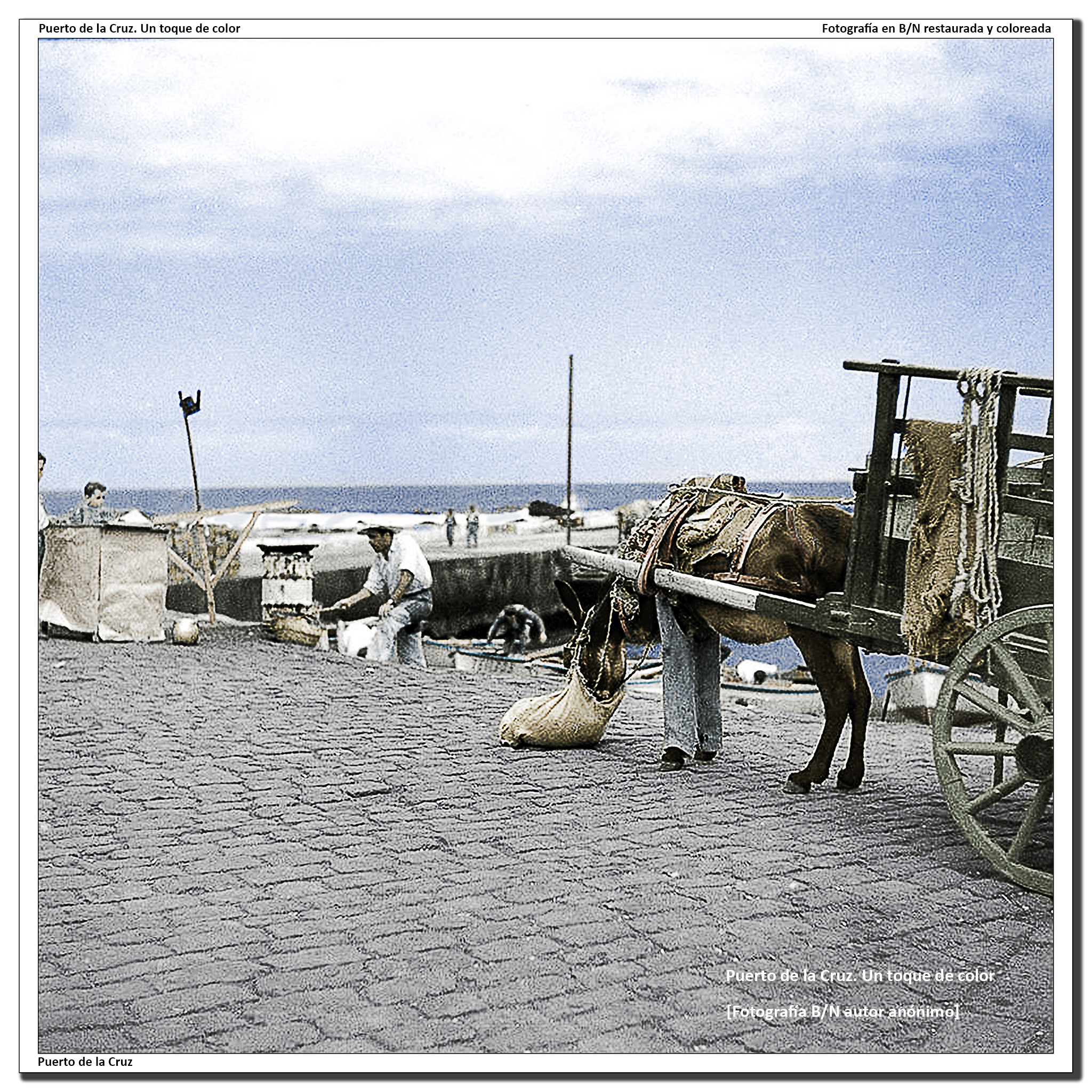 El carro con su burro por el muelle – 1950