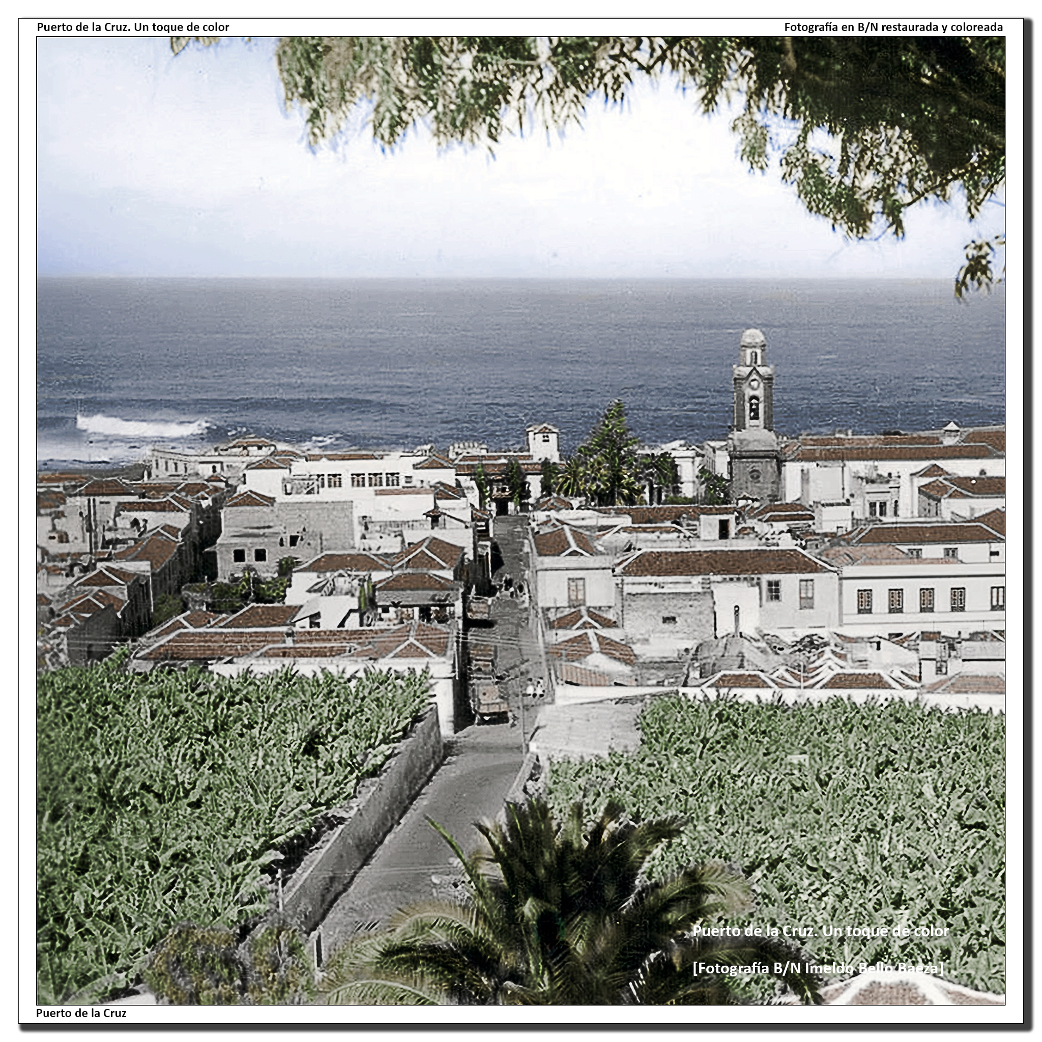 Panorámica desde el Taoro – 1950