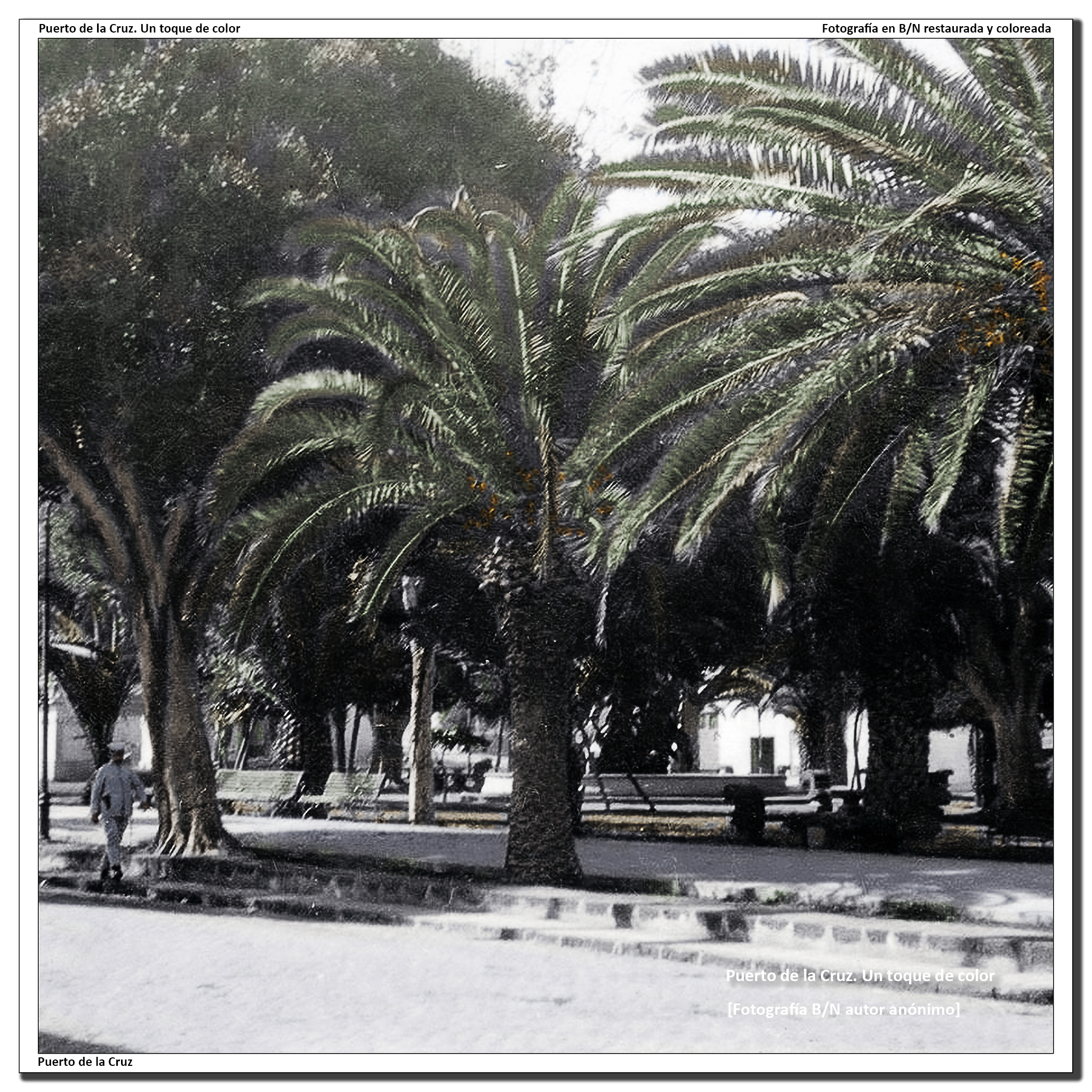 Plaza del charco – 1920