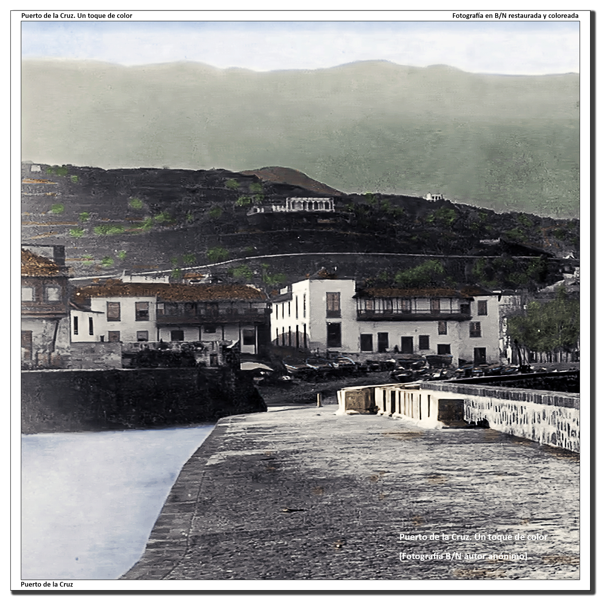 Panorámica desde el espigón del muelle – 1888