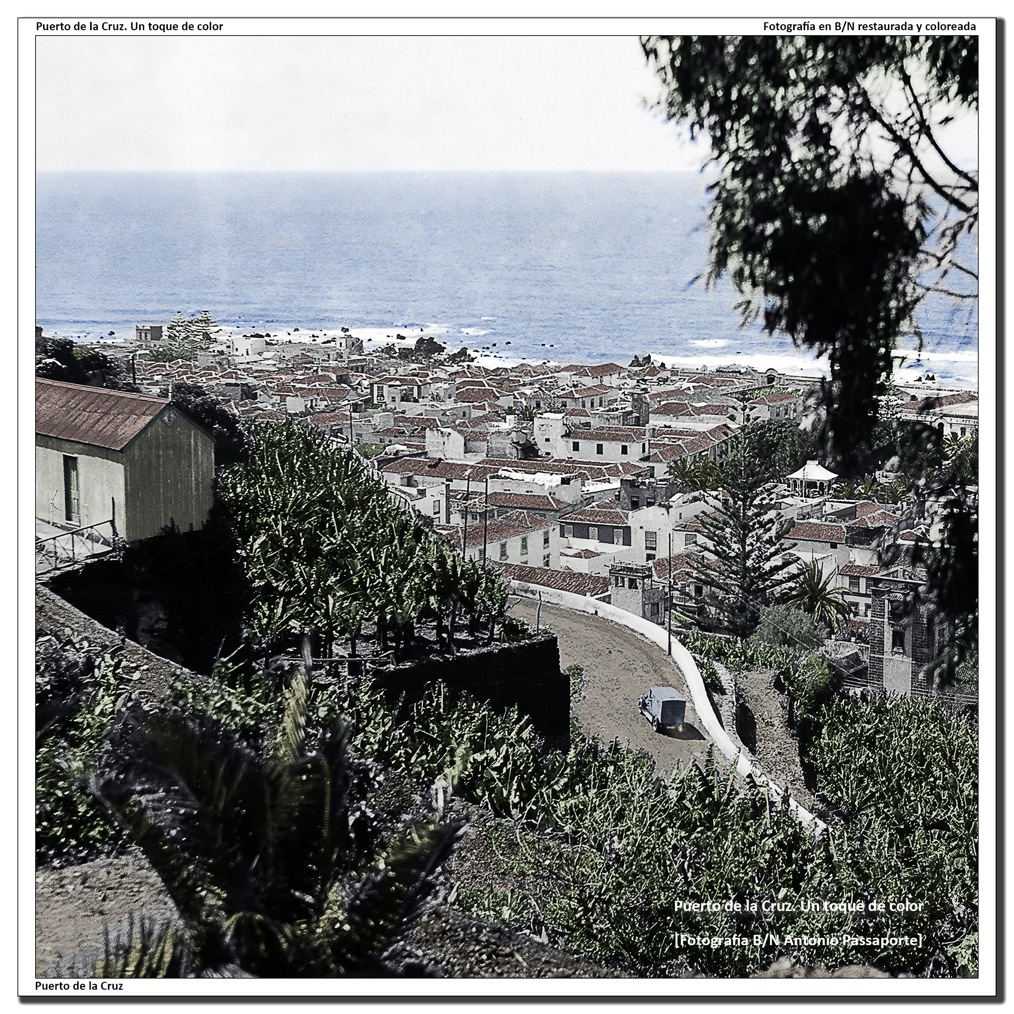 Barrio de la Ranilla desde el Taoro – 1931