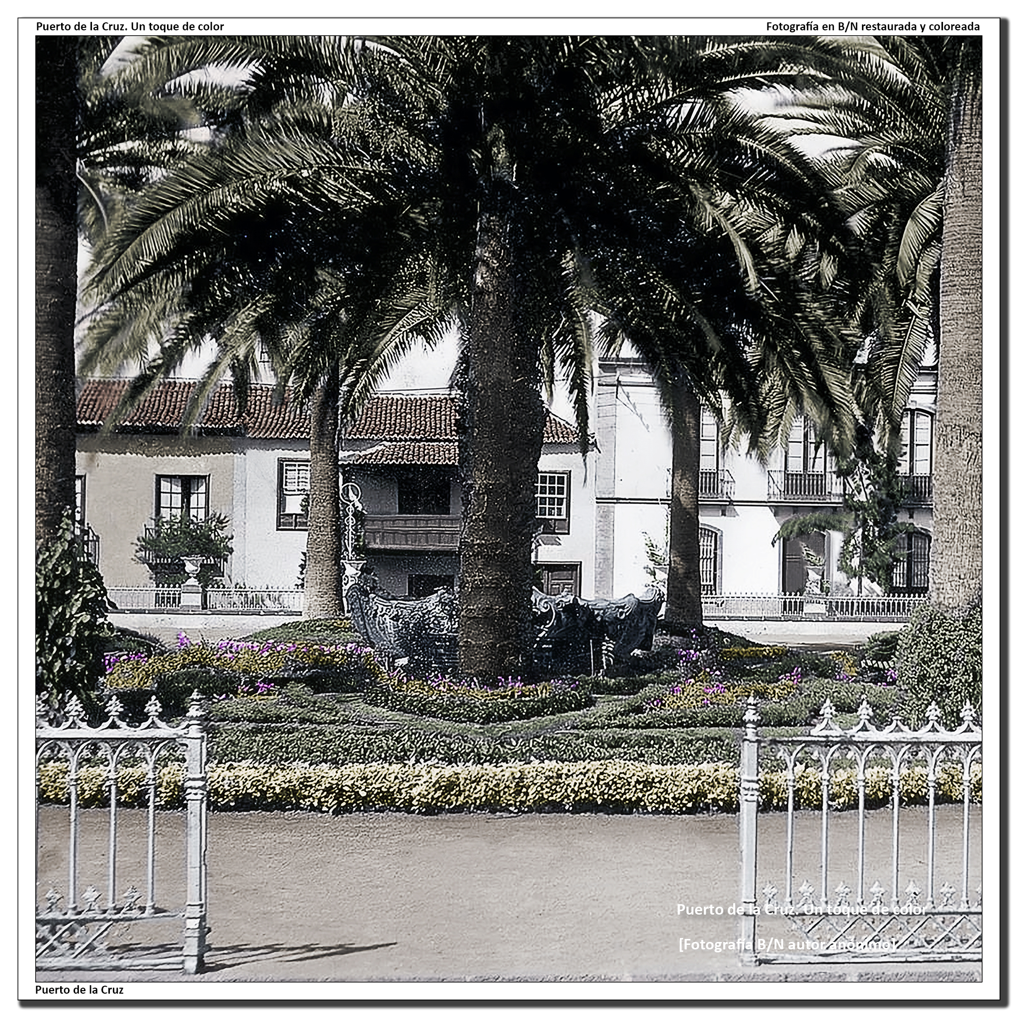 Plaza de la iglesia – 1950