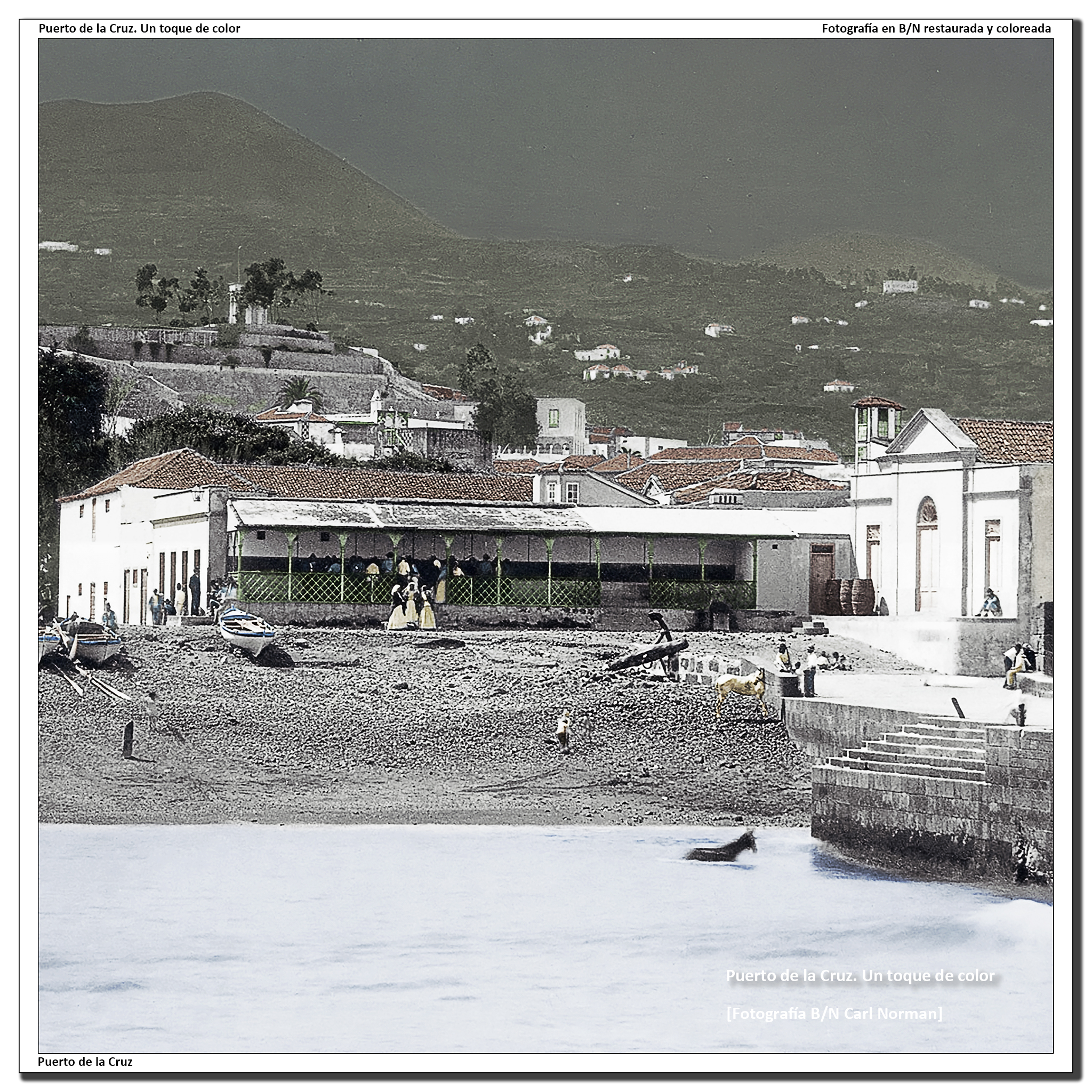 La vieja pescadería – 1893