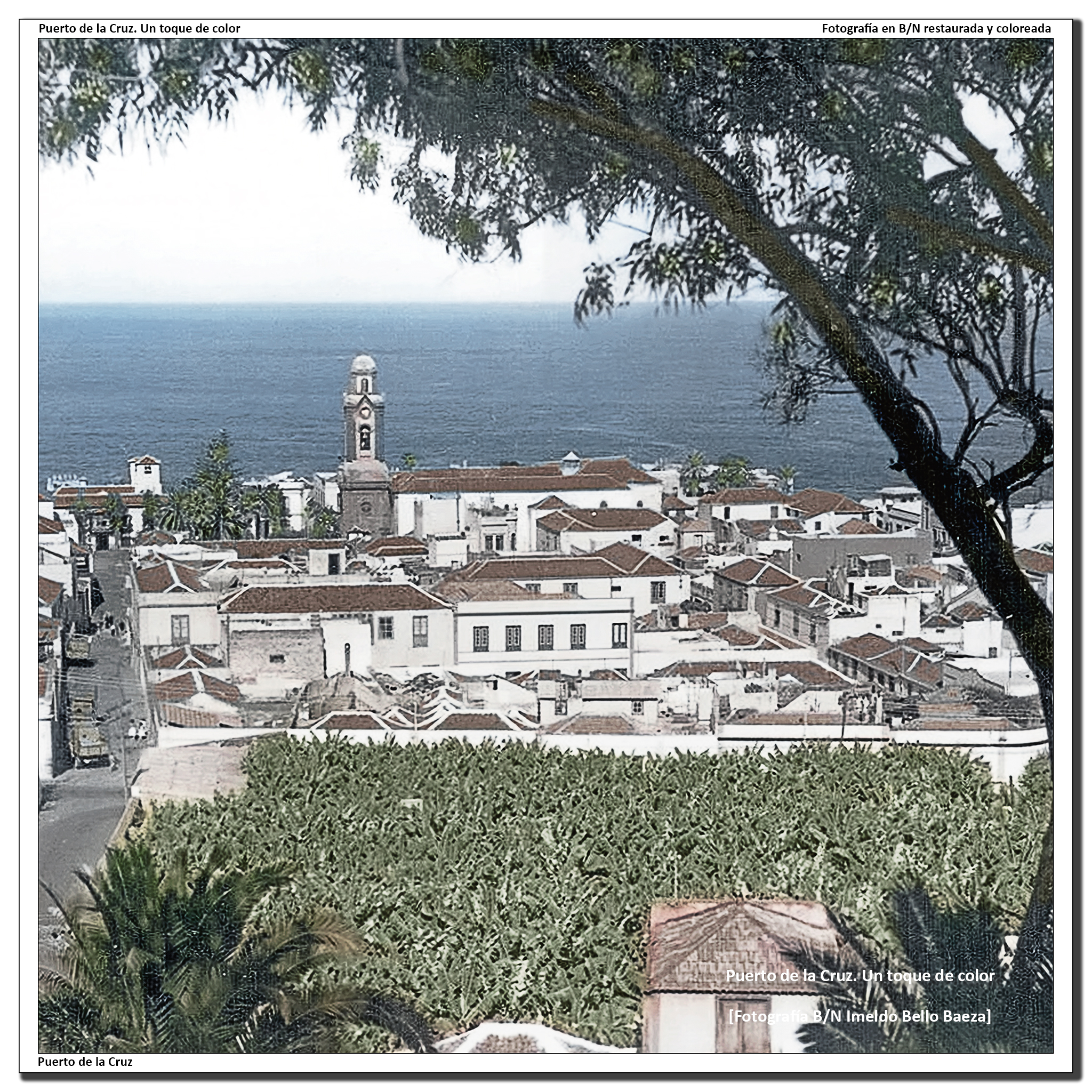 Panorámica desde el Taoro – 1950