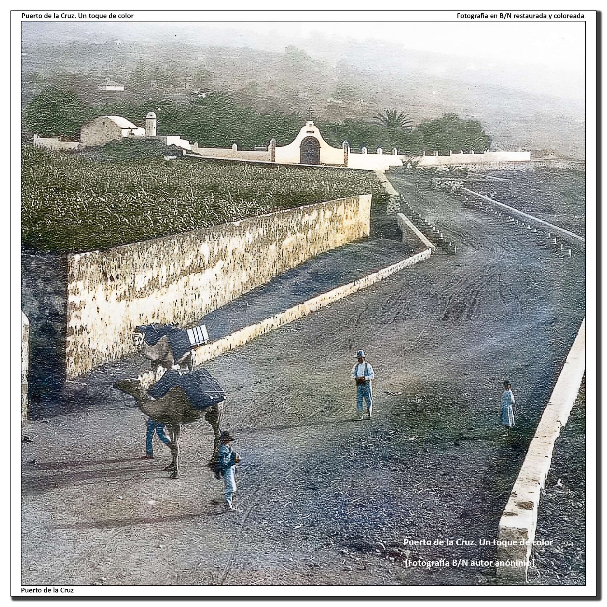 Paseo Luis Lavaggi y cementerio de san Carlos – 1907