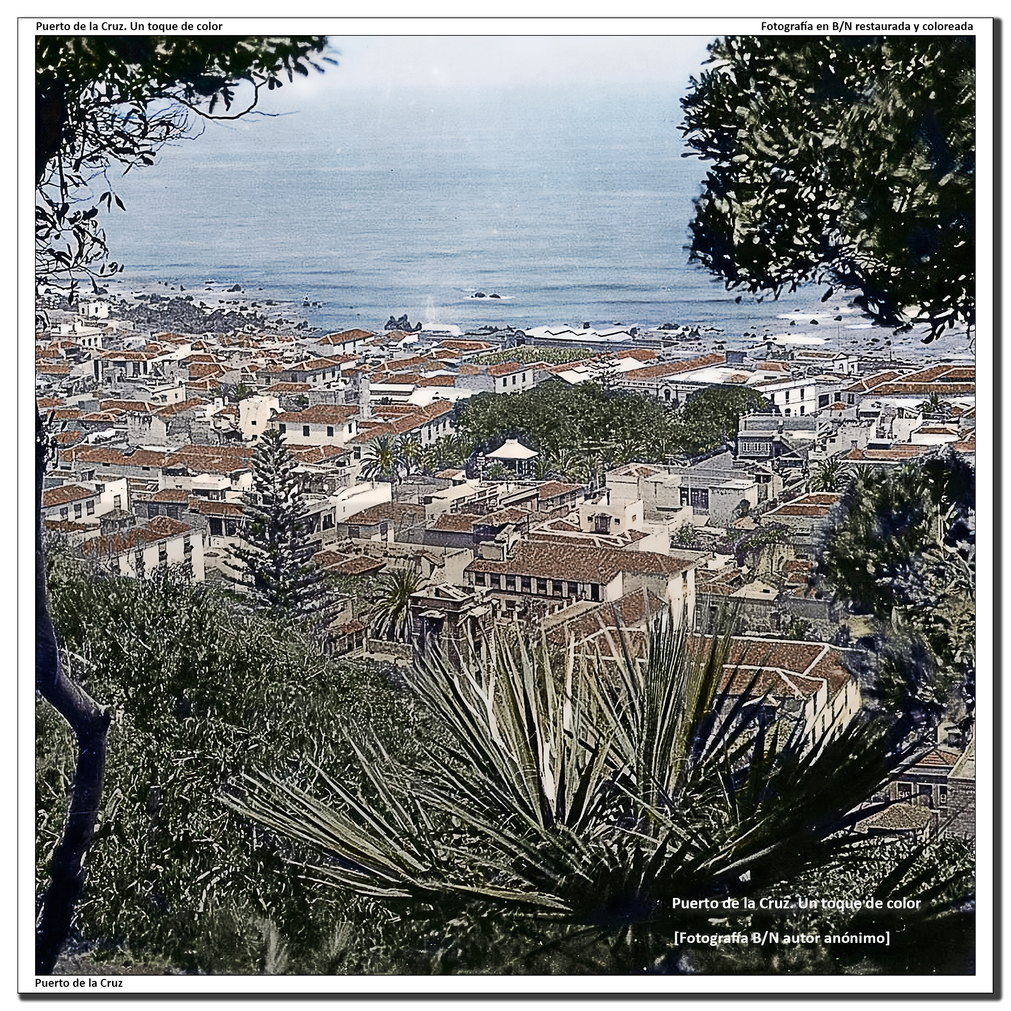 La Ranilla desde el Taoro – 1950