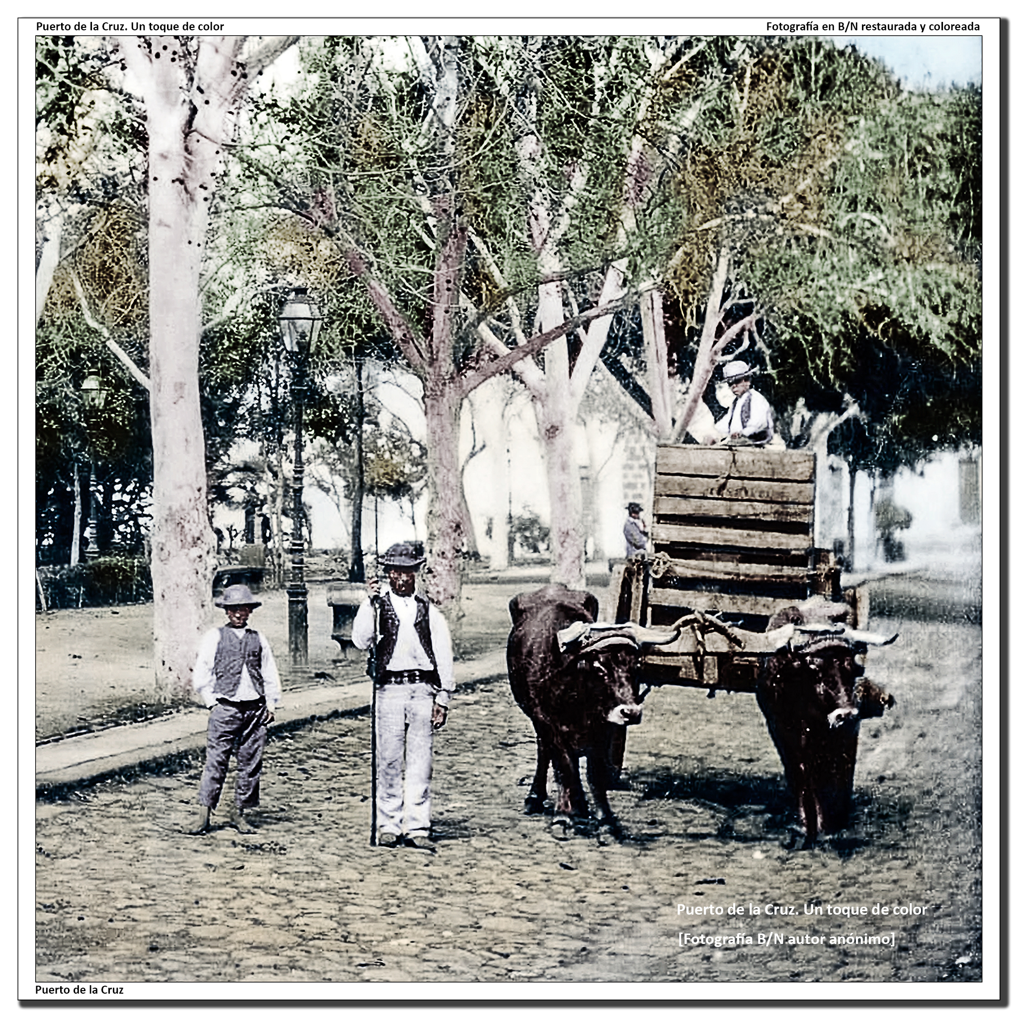 Plaza del Charco – 1890