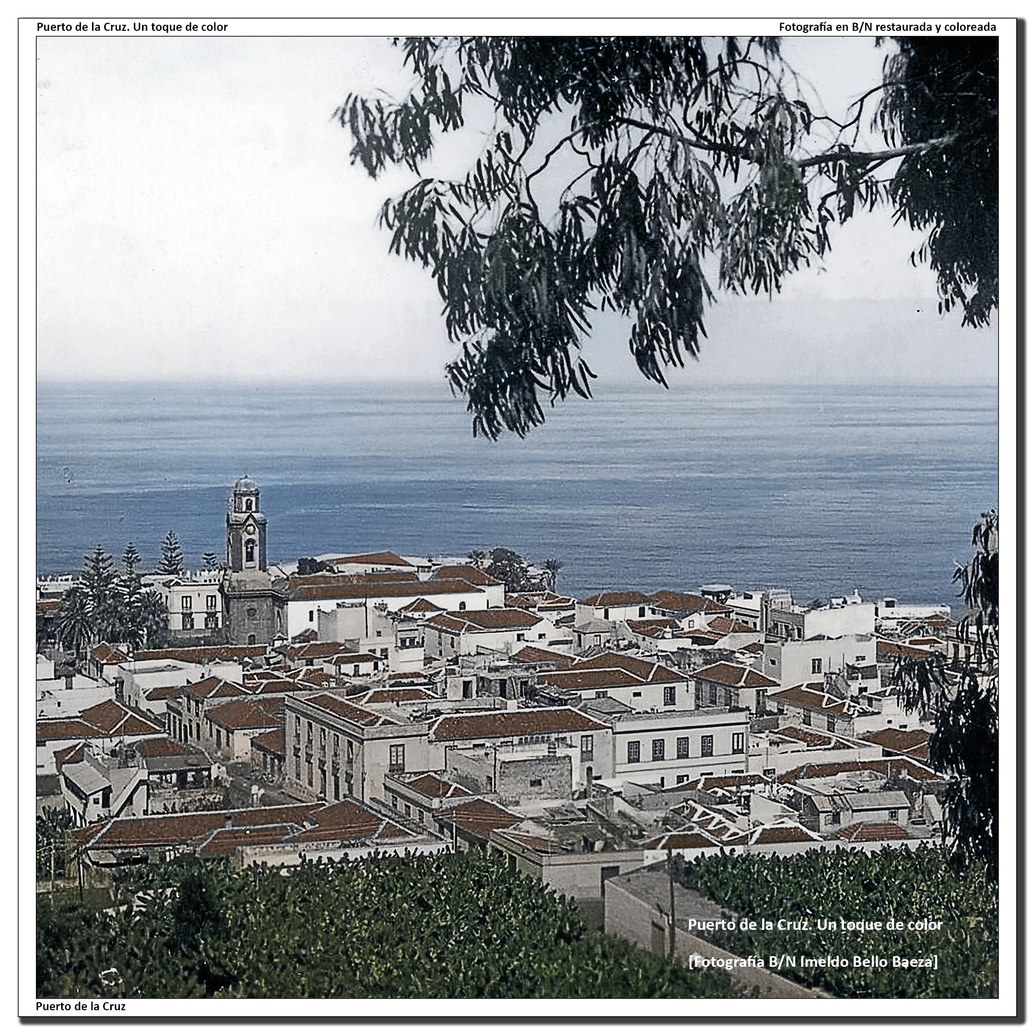 Panorámica desde el Taoro – 1950