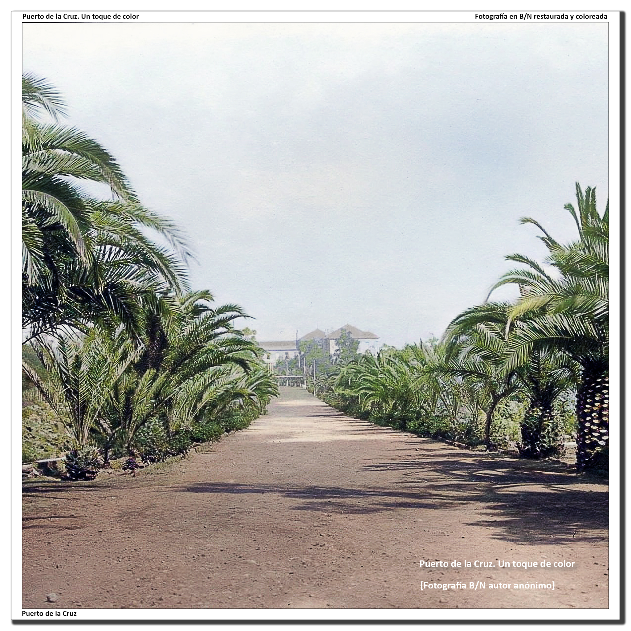 Camino de la Sortija – 1912