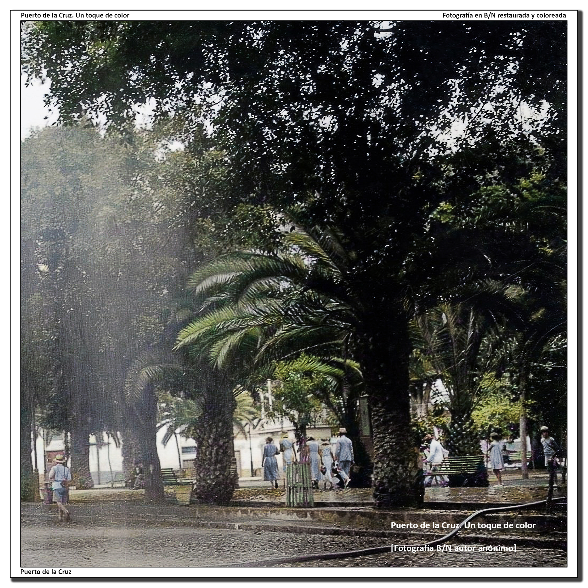 Plaza del Charco – 1935