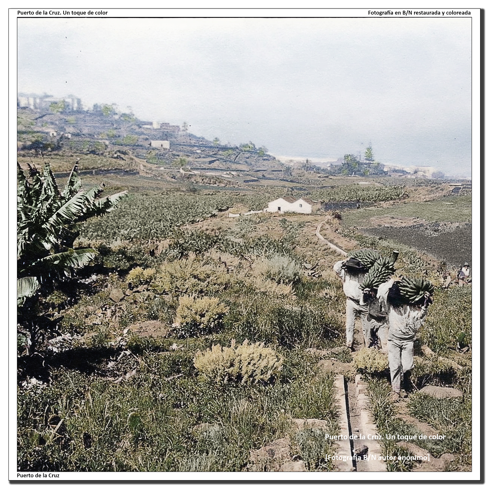 Nuestro pasado agrícola – 1912