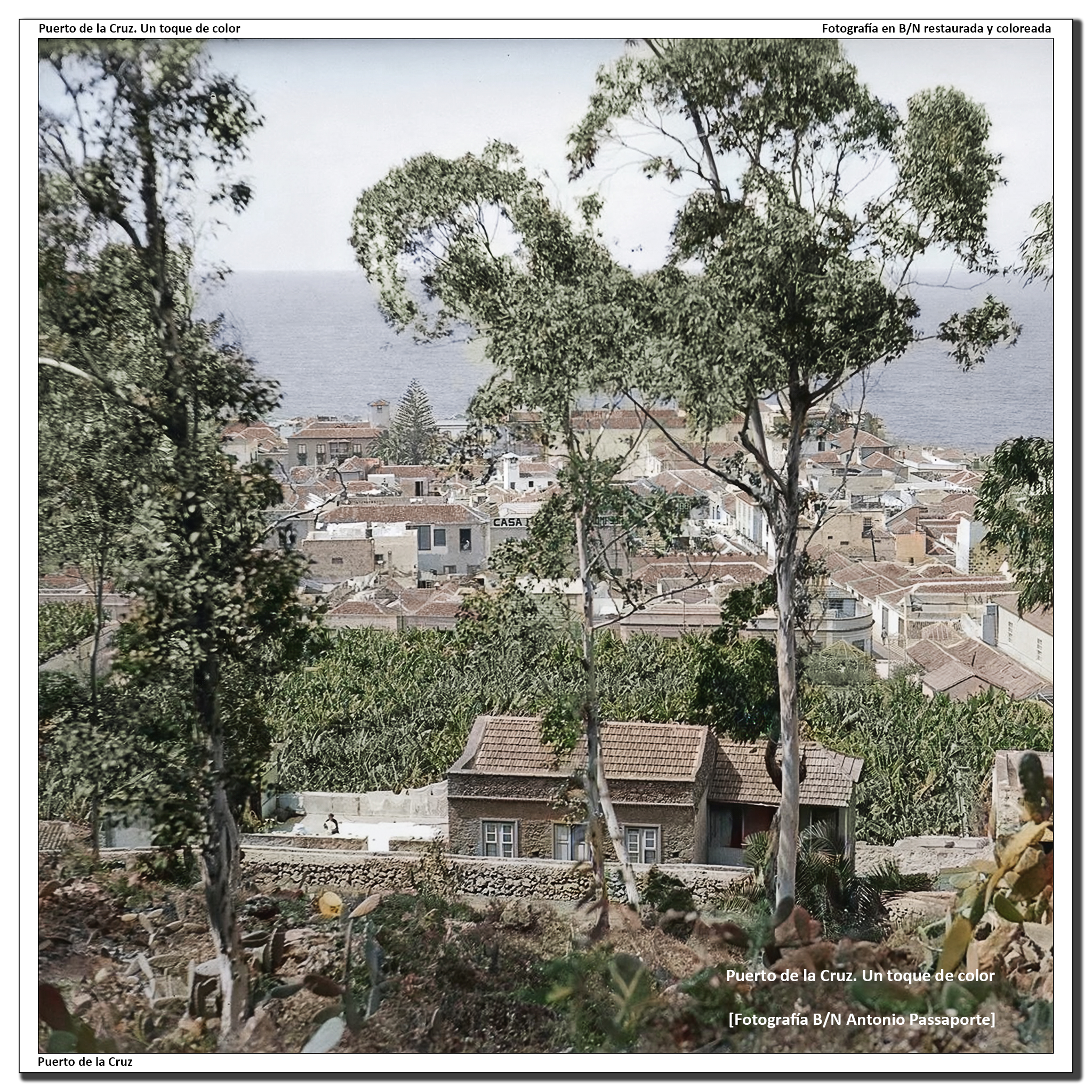Panorámica desde el Taoro – 1931