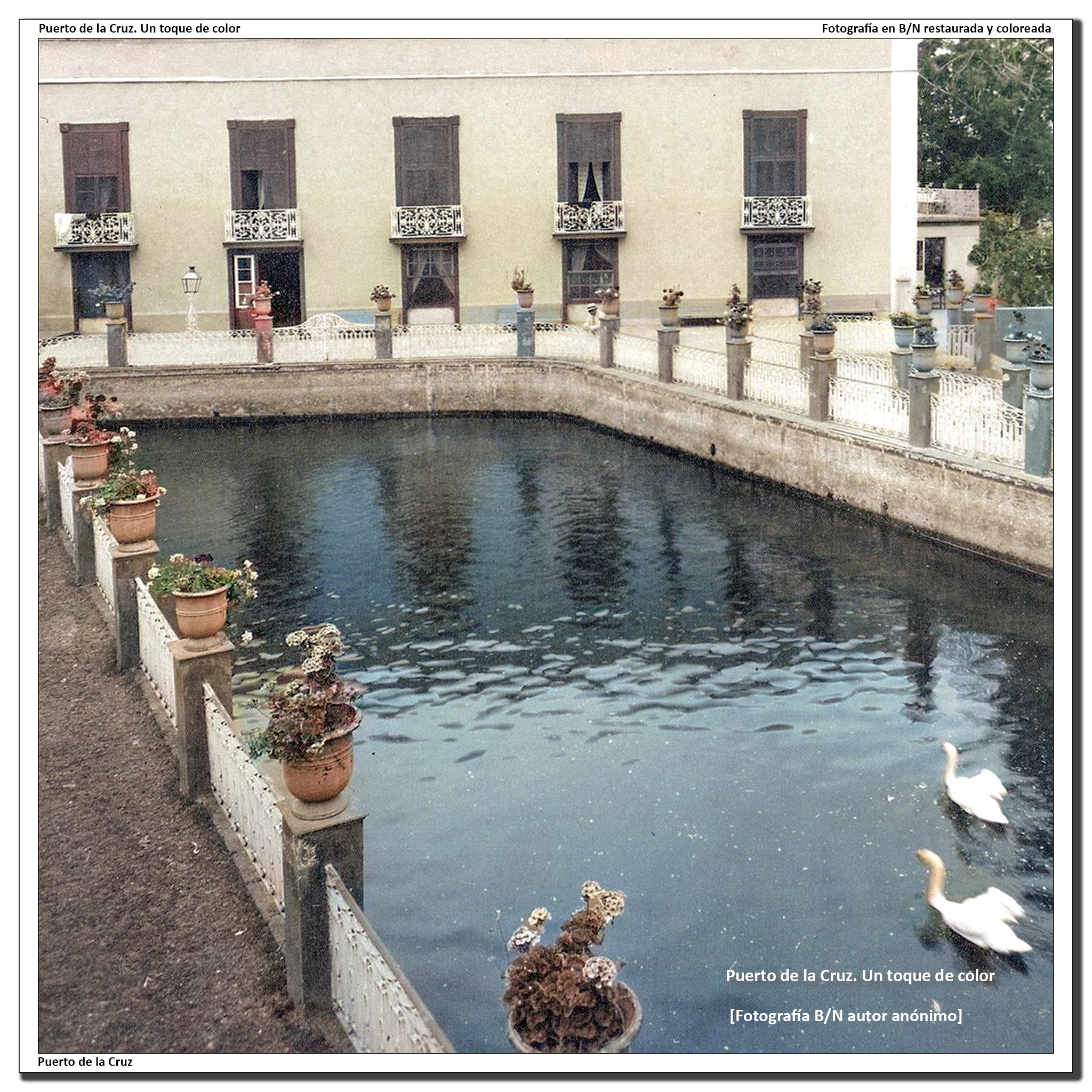 Estanque del hotel Martiánez – 1930