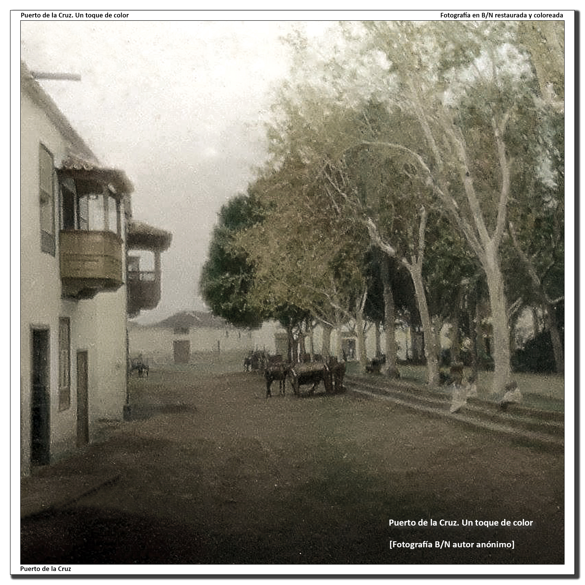 Costado oeste de la Plaza del Charco – 1900