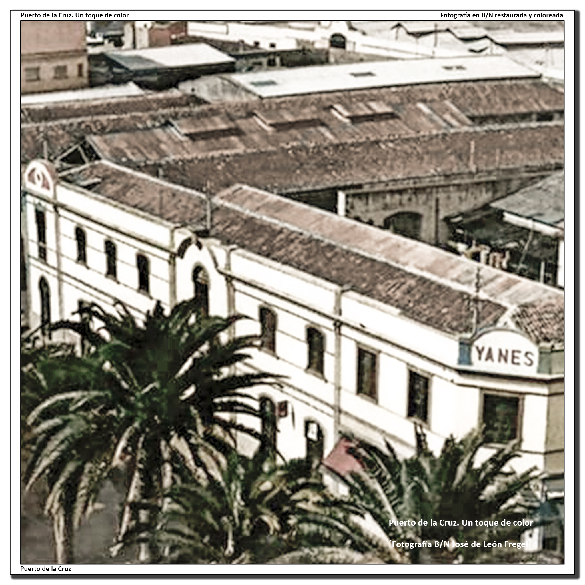 Costado norte de la Plaza del Charco – 1960