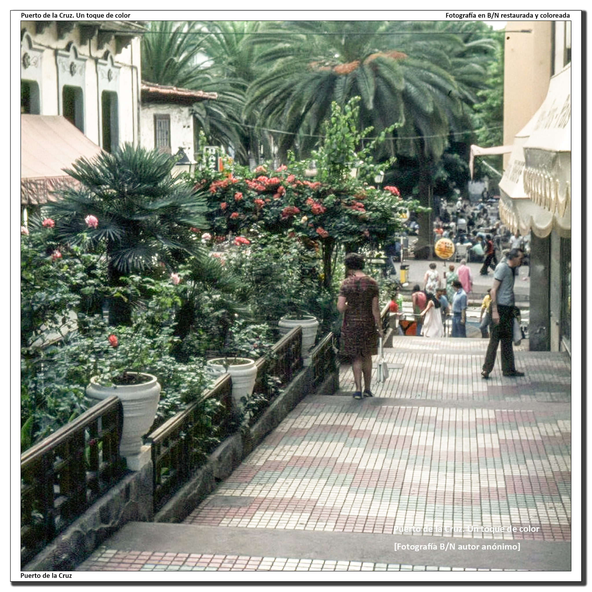 Calle Quintana – 1975