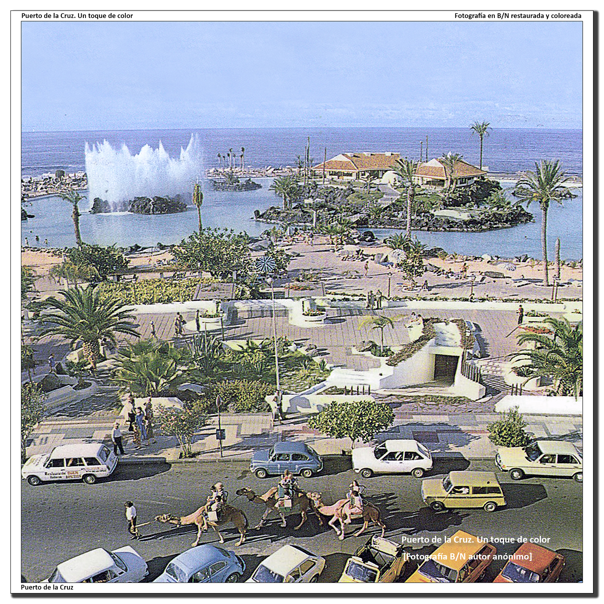 Lázaro y sus camellos junto al Lago Martiánez – 1978
