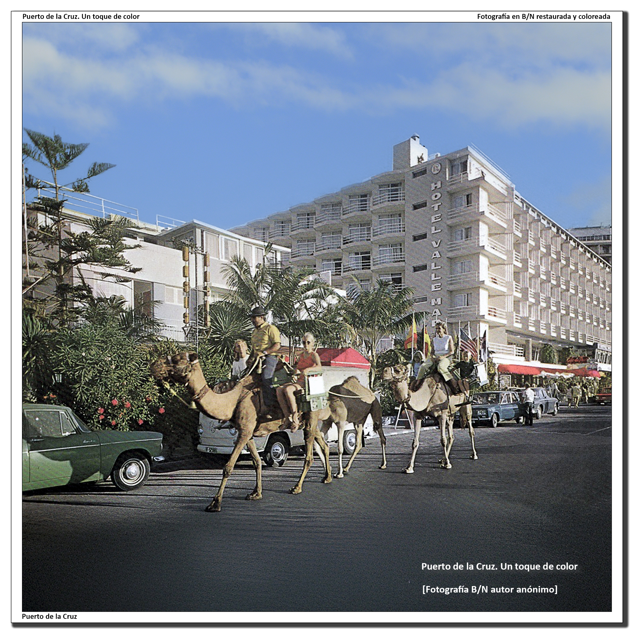 Lázaro y sus camellos en la avenida de Colón – 1966