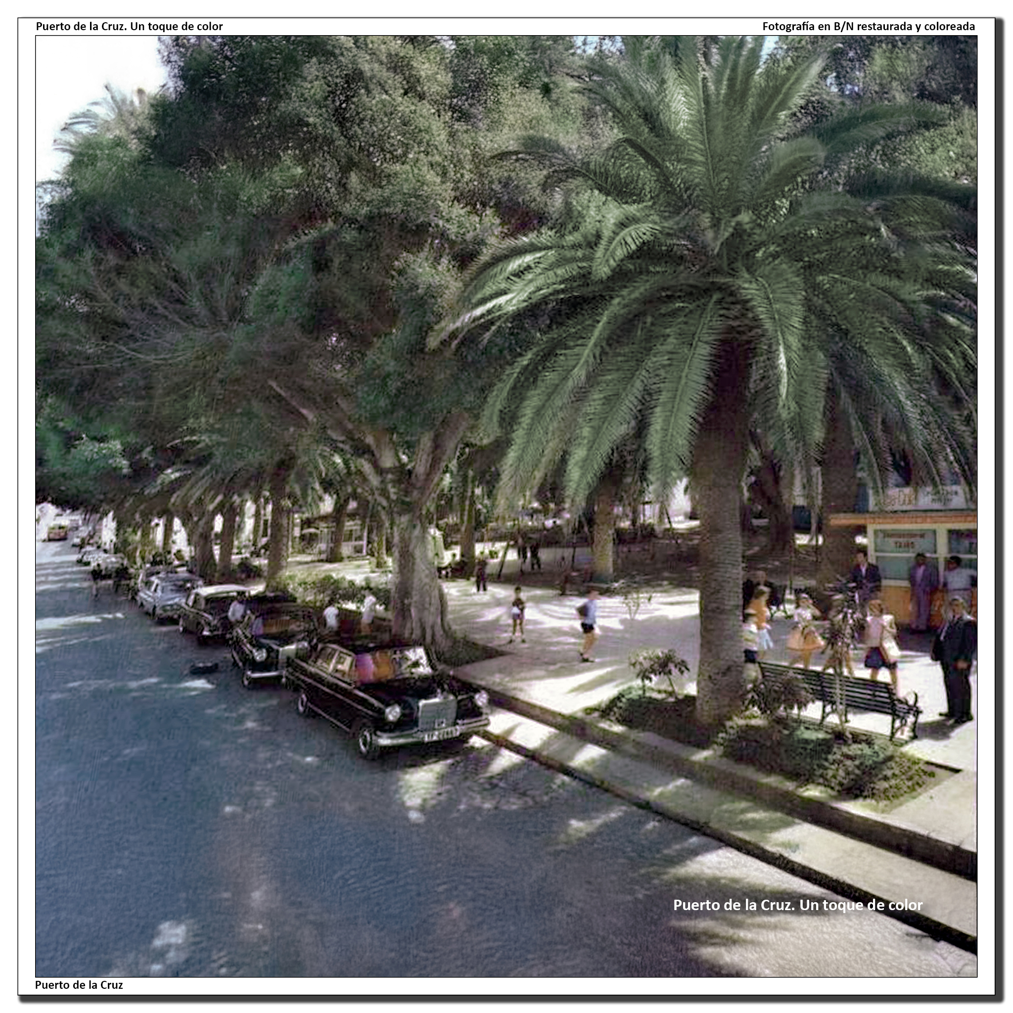 Costado este de la Plaza del Charco – 1963