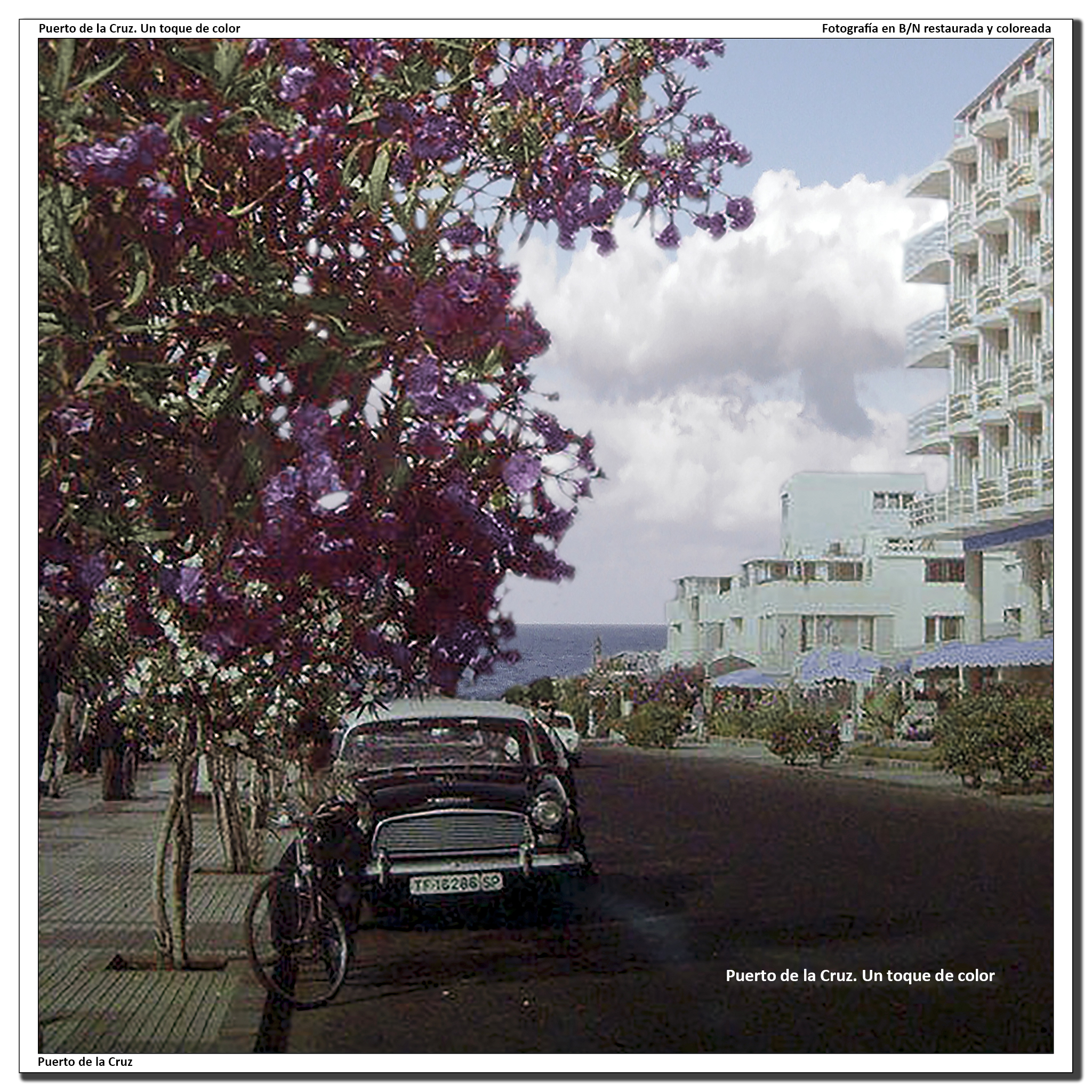 Avenida de Colón – 1966