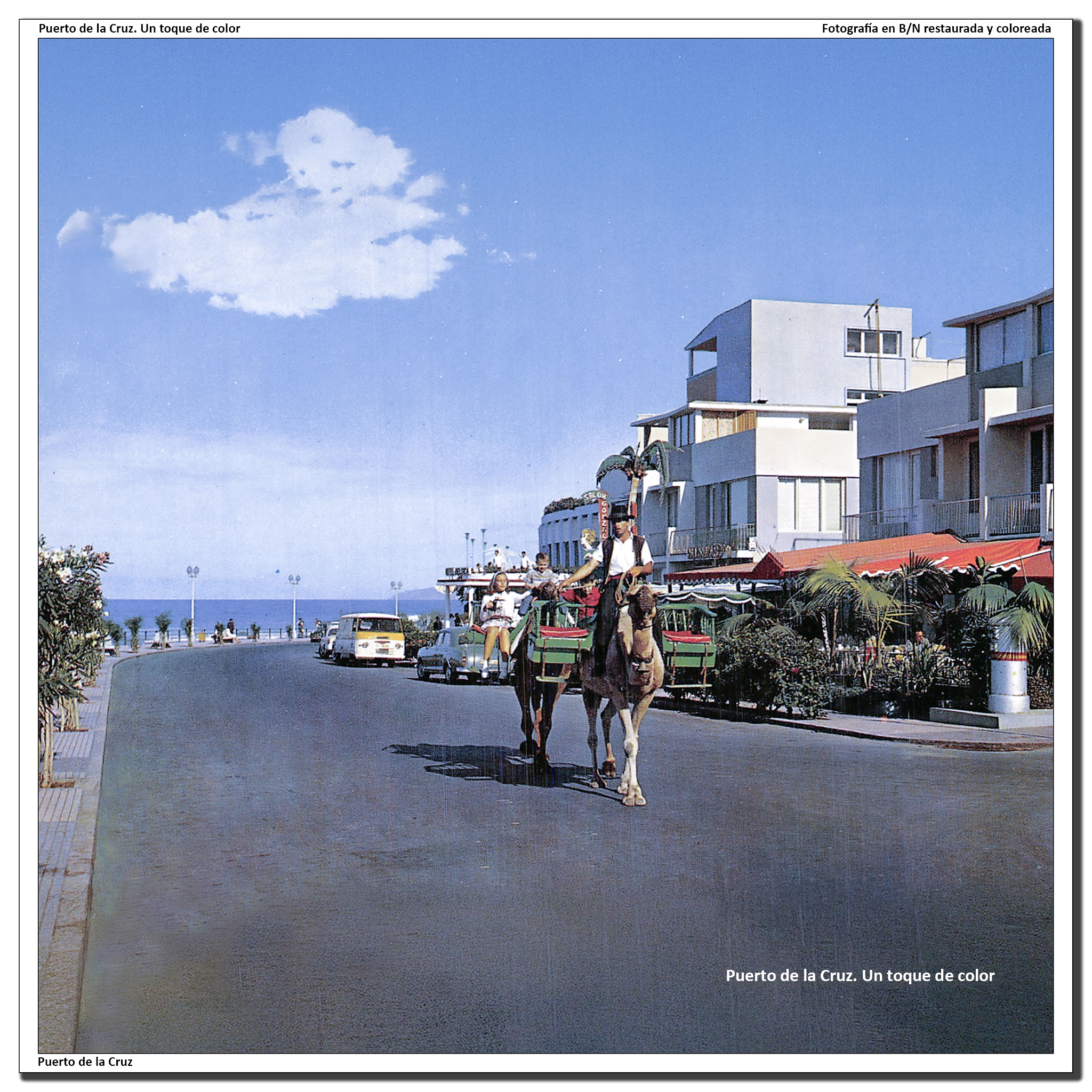 Lázaro con sus camellos por la Avenida de Colón 1962